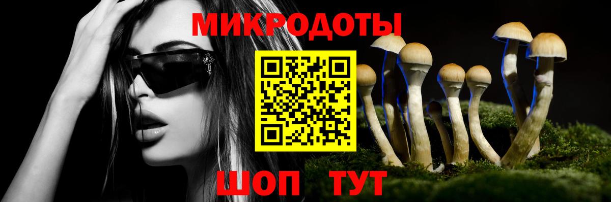 Железноводск  Псилоцибиновые грибы мицелий  Вход с VPN  Галлюциногенные грибы Magic Shrooms 